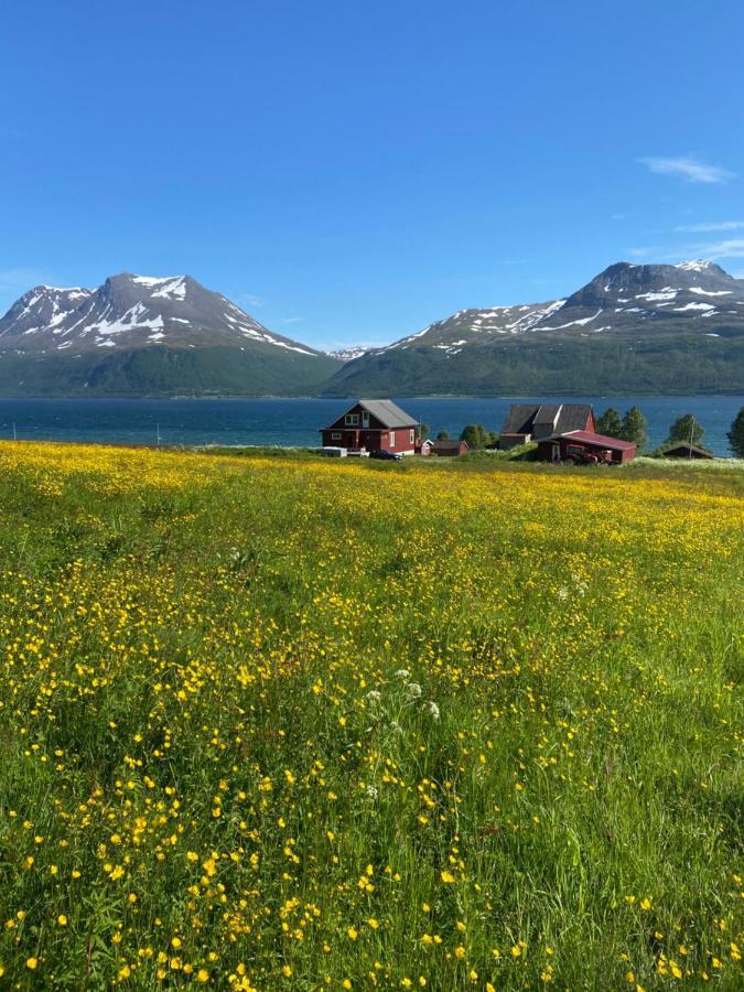 Apartmán 3Art Recreation Tromsø Exteriér fotografie